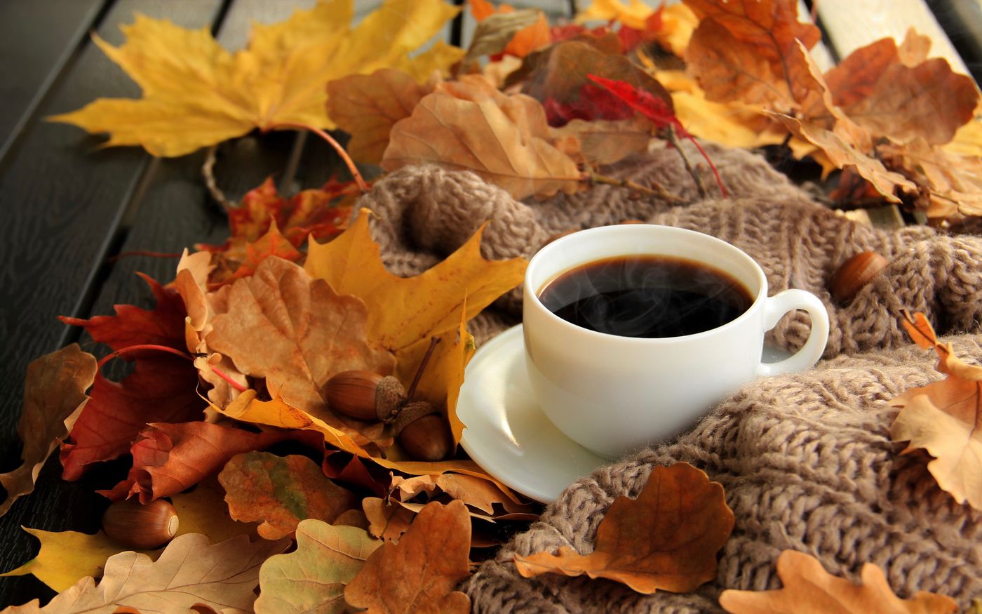 この秋は紅葉も食も楽しむ 都内の紅葉を楽しめるカフェスポット ネクスター株式会社 若者マーケティング 広告 採用支援